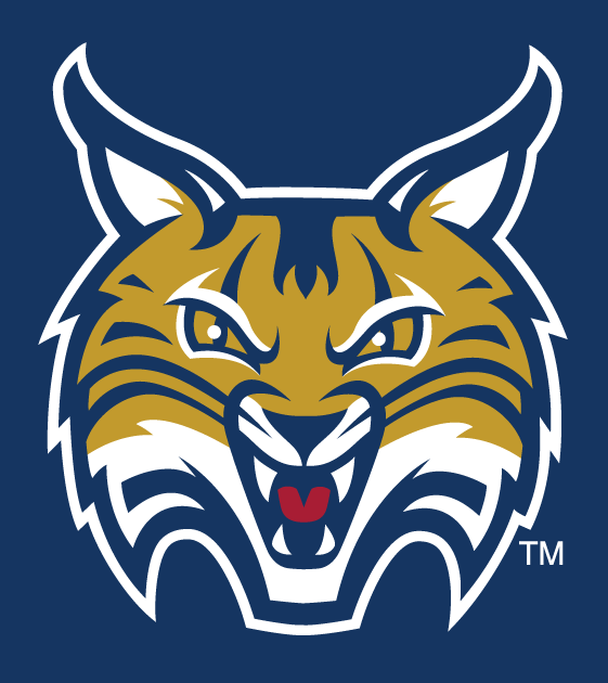 Quinnipiac Bobcats 2002-Pres Secondary Logo v8 diy DTF decal sticker